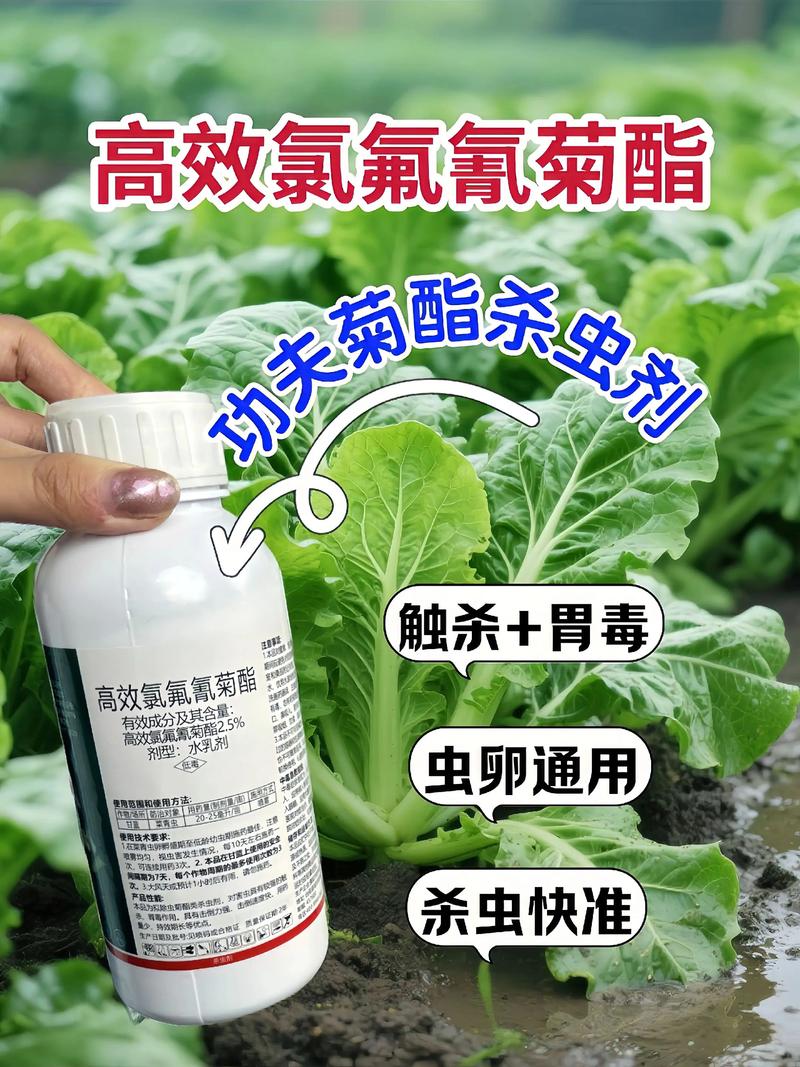 和田代生中心:农药对供卵代生妈妈的危害